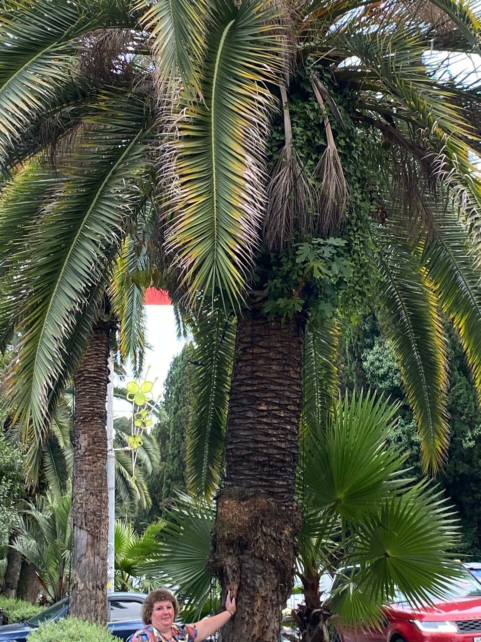 Гостиница Мари Адлер-107