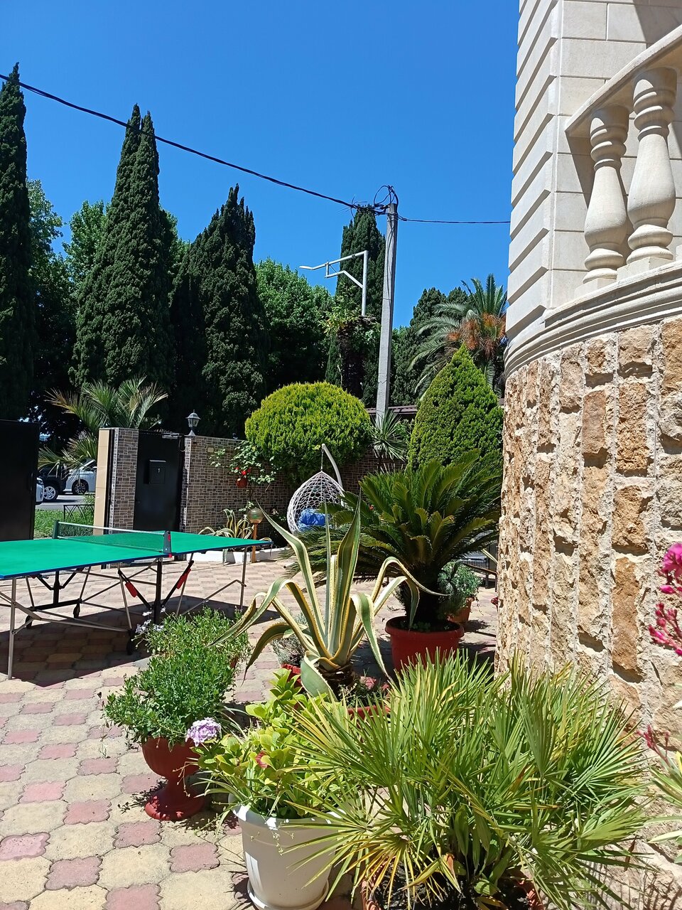 Гостиница Мари Адлер-112