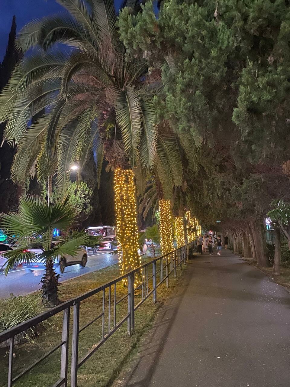 Гостиница Мари Адлер-103