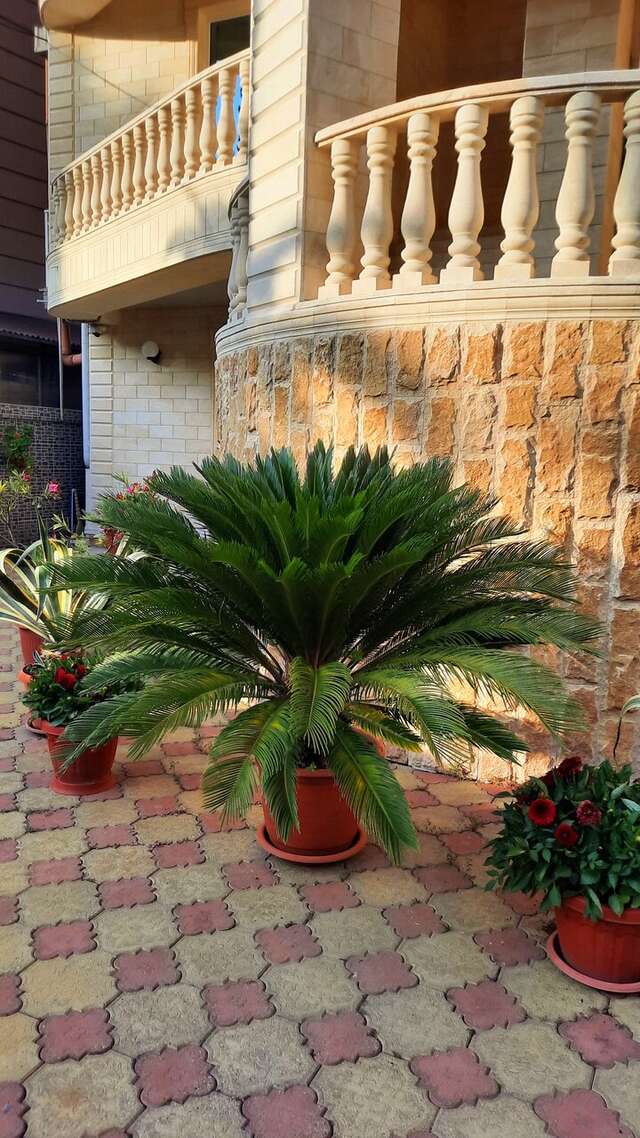 Гостиница Мари Адлер-16