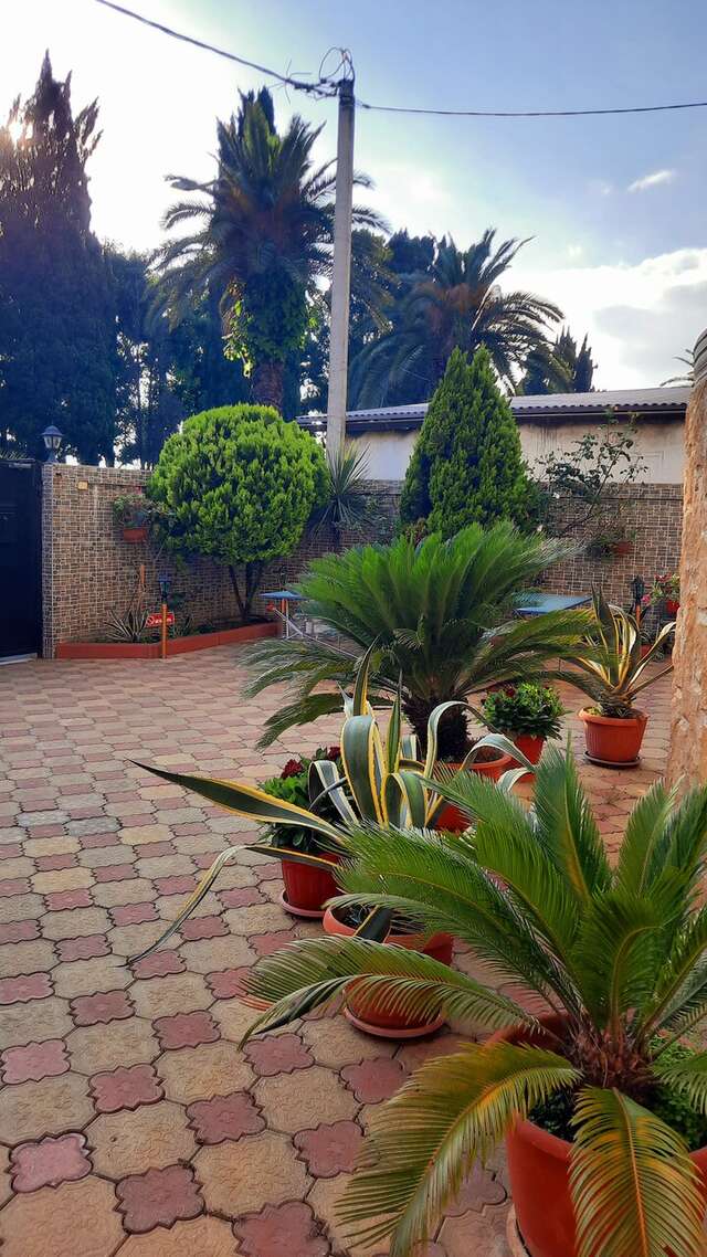 Гостиница Мари Адлер-12